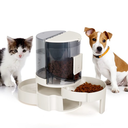 Katzen wasser futterautomat - katzen,