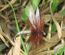 Gilchrist Fliegen. 3 x