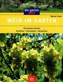 Wein garten von - garten, fader