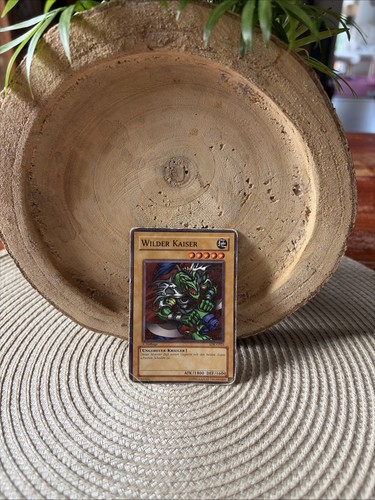 Yugioh wilder kaiser sdk - yugioh, sdk-g025