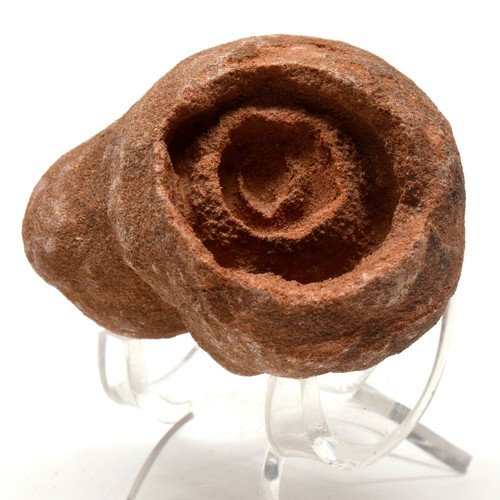 625ct stromatolith kerkoub - 625ct,