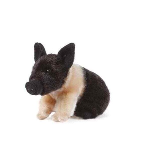 Schwein schweinchen - schwein,