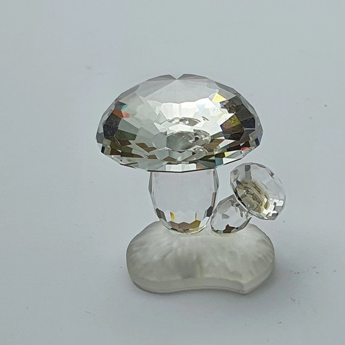 Swarovski silver crystal - crystal,