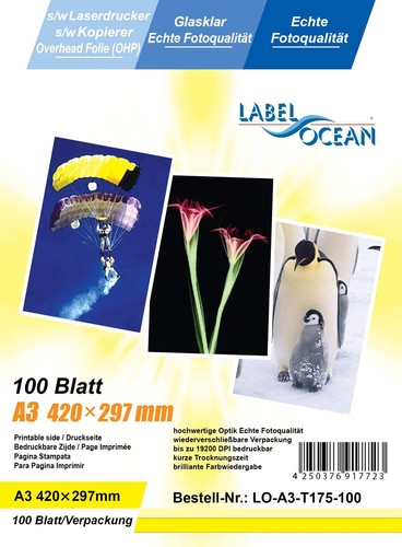 100 blatt overheadfolien - 100, a3