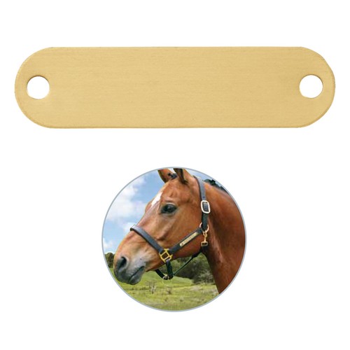 Pferde schild mit gravur - gravur,