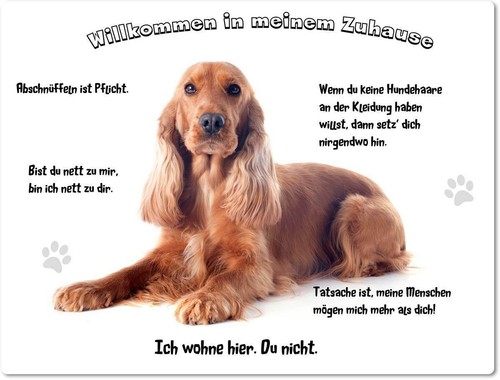 Warnschild 20x30cm - 20x30cm,