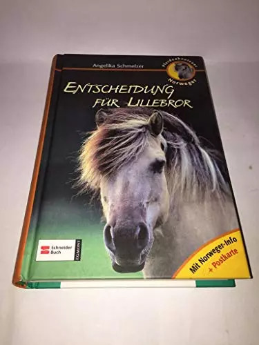 Pferdeabenteuer norweger - pferdeabenteuer,