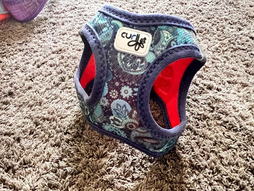 Curli special edition - curli, 💙🐾