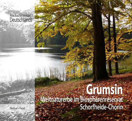 Grumsin weltnaturuerbe im - grumsin,