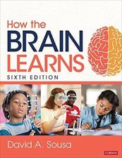 How the brain learns - brain,