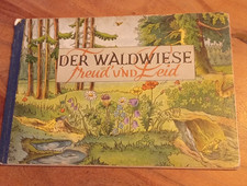Der Waldwiese Freud und Leid
