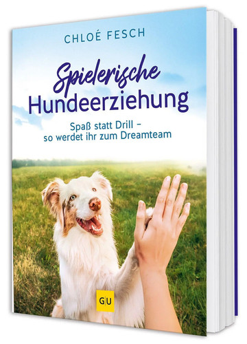 Spielerische hundeerziehung - spielerische,
