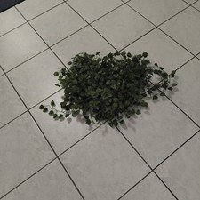 Deko - Efeu, ca. 10 m