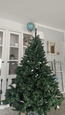 Thomas Pacconi Classics