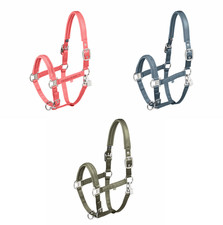 Halfter Mattgloss Jewel