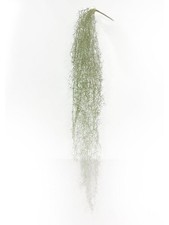 artplants Kunstpflanzee