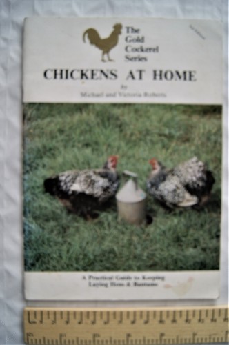 1983 chickens home by - at,