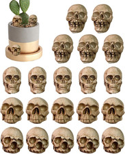 Mini-Schädel - Skelett-Kopf