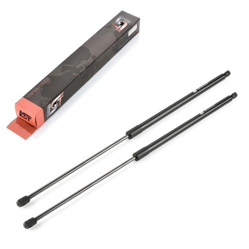 Gasfeder - 2x,