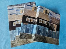 Set Adventure Life Motiv Eisbär Ordner + Mappen (Zustand gebraucht, sehr gut)