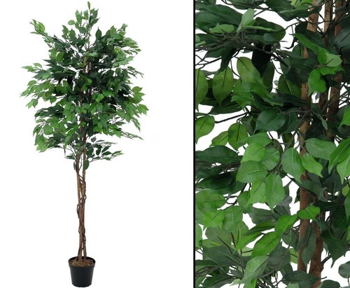 Kunst baum ficus benjamini mit - kunst,