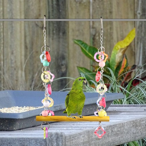 Papagei spielzeug papageien - ,