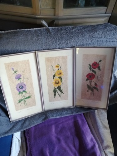 Bilder von waldmann blumen - bilder, m.