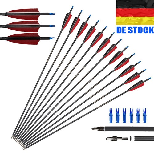 12pk carbonpfeile sp600 - 30“,
