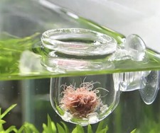 Tubifex Sieb Futtersieb