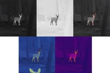 Wärmebild Jahnke Thermal