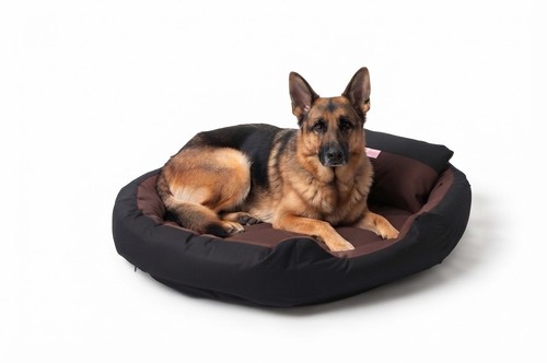 Bedgog hundebett 4in1 xxl - bedgog,