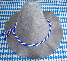 Filzhut Trachtenhut Seppelhut Party Hut Oktoberfest Hut für's Bierzelt Wies'n 