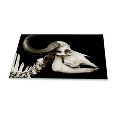 Herdabdeckplatte ceran - ceran, 1
