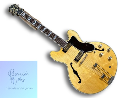 Epiphone usa john lee - john, hooker