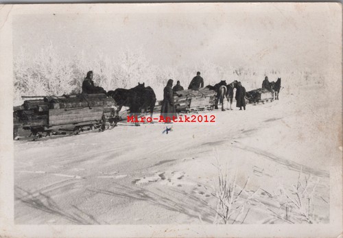 Foto wk2 transport von holz - wk2,,