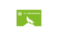 Hissflagge VfL Wolfsburg