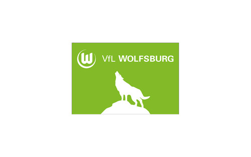 Hissflagge vfl wolfsburg - hissflagge,