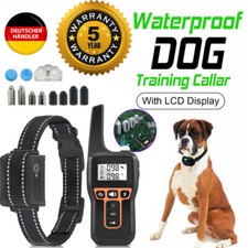 1000M Hund Ausbildung