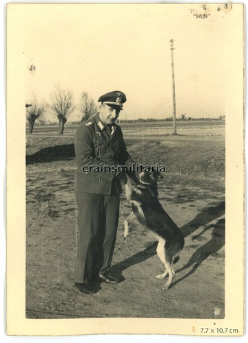Orig foto marineflak offizier - orig.,