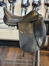 Prestige Helen X Dressage