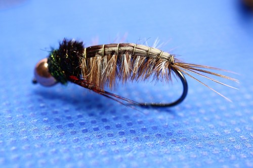 Steinfliegen nymphen - ,