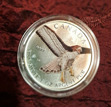 5 $ Canada Kanada  2015 Falke Hawk Tail 1 oz Silber coloriert