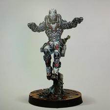 Infinity Nomads Perseus