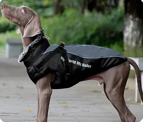 Hundemantel geschirr - ,