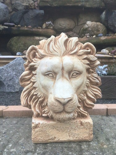 Steinfigur löwenkopf 48 - steinfigur, löwenkopf,