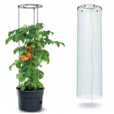 Blumentopf tomatenzüchter - blumentopf,