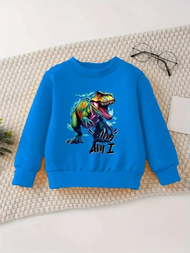 Jungen sweatshirt mit - jungen-sweatshirt,