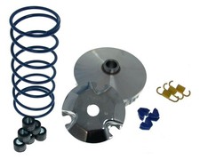 Variomatik Polini Hi-Speed