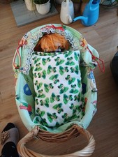 korb puppenwagen Mit Bettchen