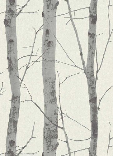 Vliestapete birke baum weiß - birke,